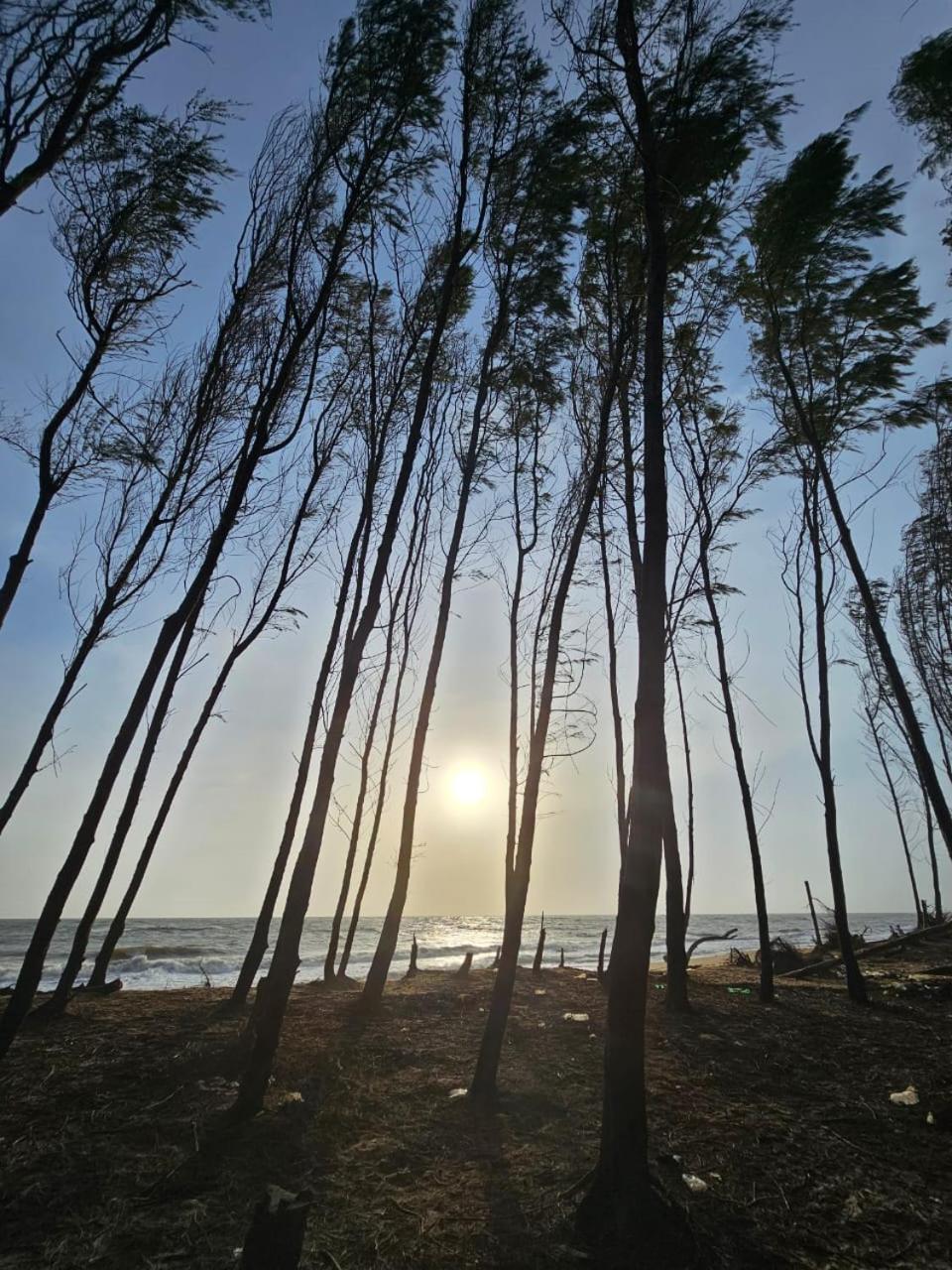 Kalpitiya Chalets By Thilanka Bagian luar foto